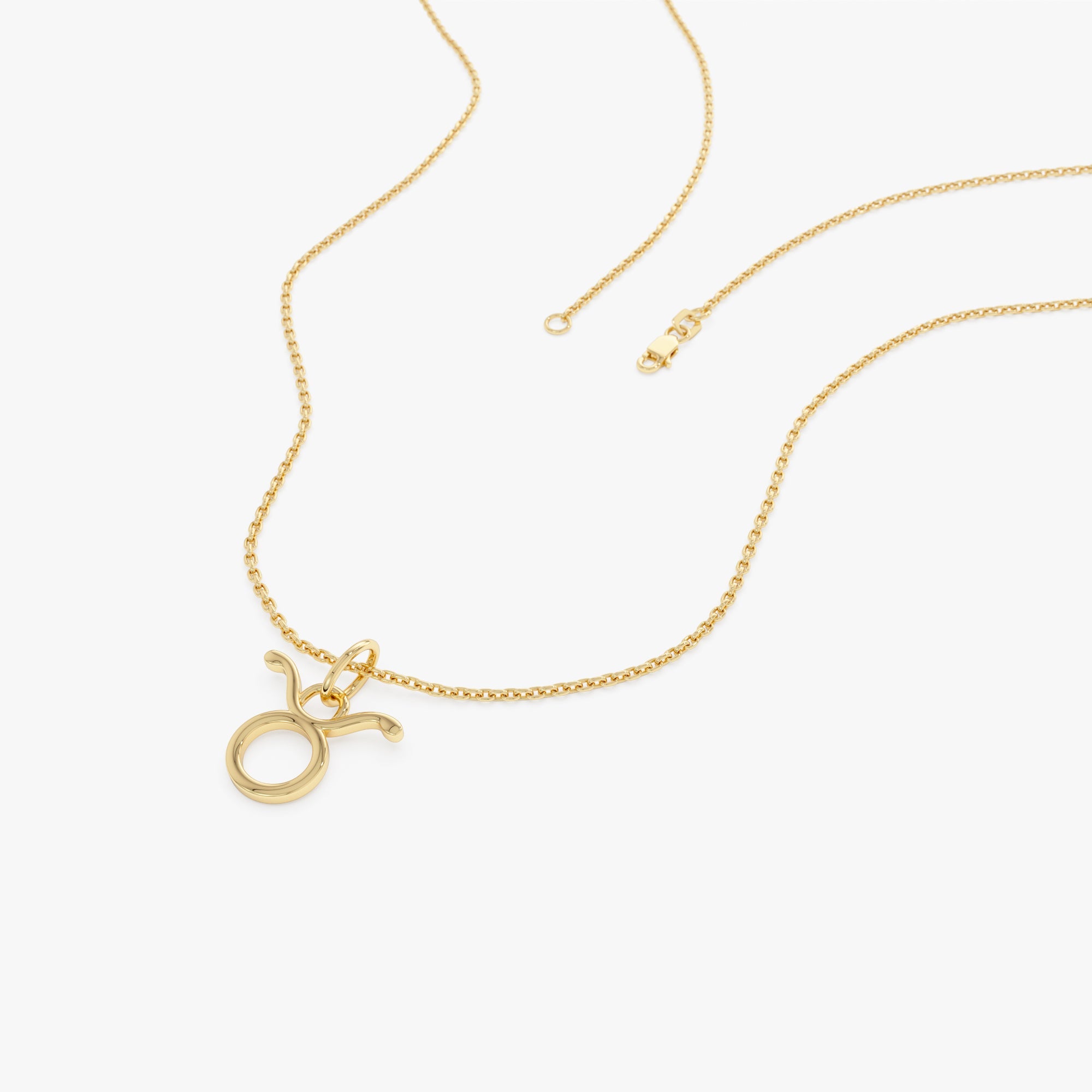 OBFJ0707 - 14K Taurus Zodiac Charm Necklace 6