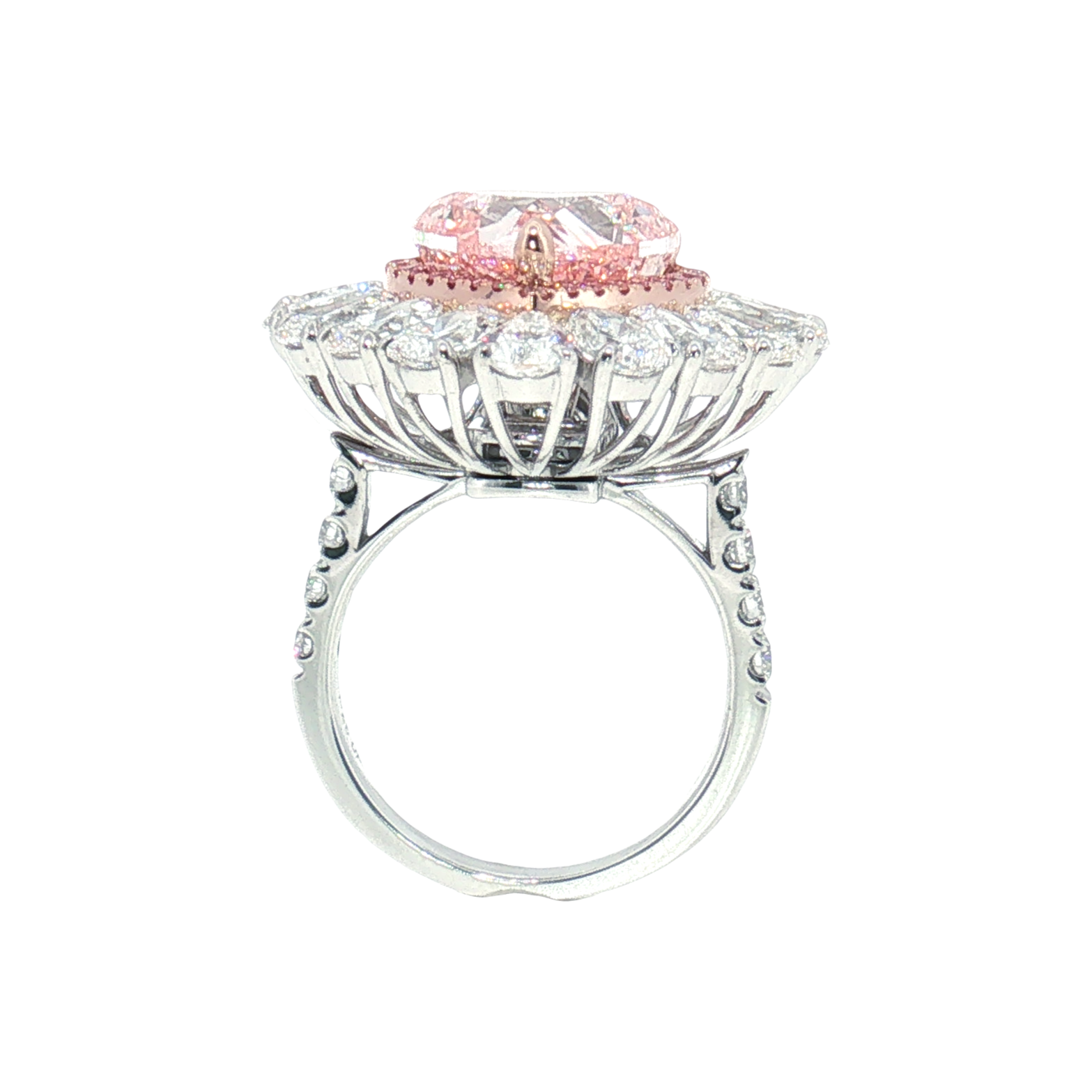 LGV0532 - [Setting Only] Grand Heart Cut Double Halo Engagement Ring