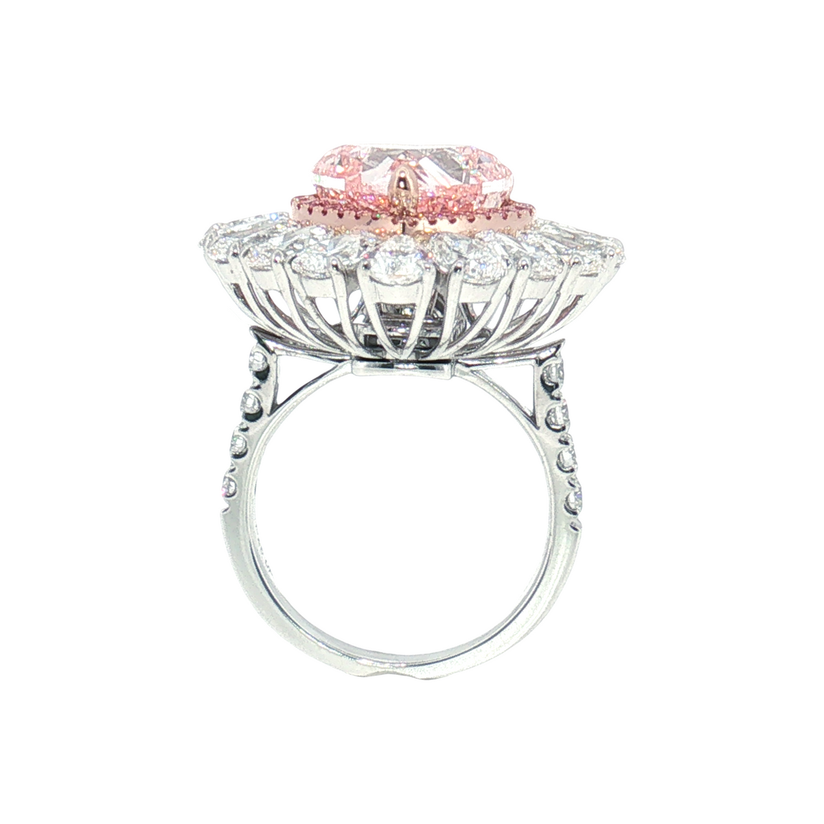 LGV0532 - [Setting Only] Grand Heart Cut Double Halo Engagement Ring